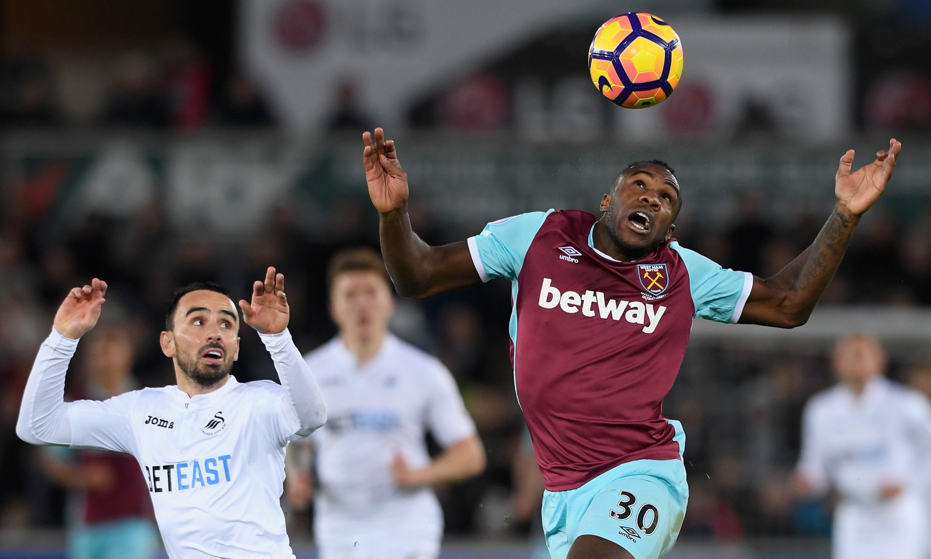 这种综合性 这种综合性